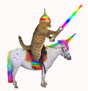 courageous cat on unicorn