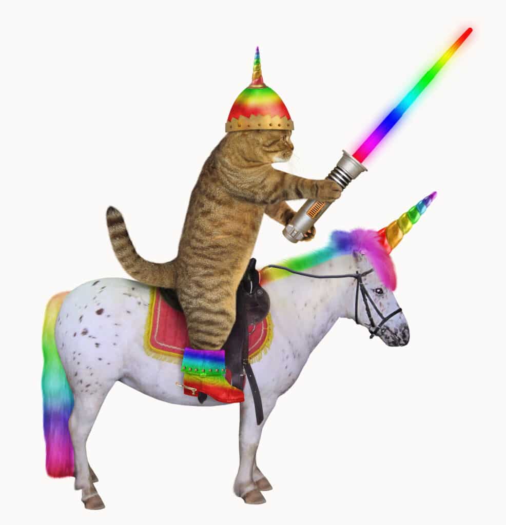 courageous cat on unicorn