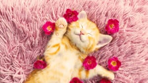 relax